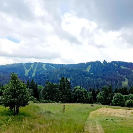 Dyna, Luxe, Calme Et Serenite * Gerardmer