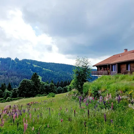 Dyna, Luxe, Calme Et Serenite Gerardmer