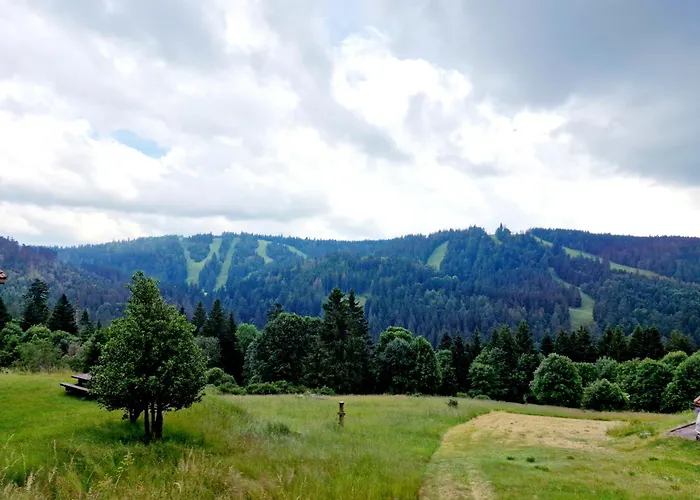 Dyna, Luxe, Calme Et Serenite * Gérardmer