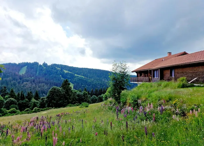 Dyna, Luxe, Calme Et Serenite Gérardmer