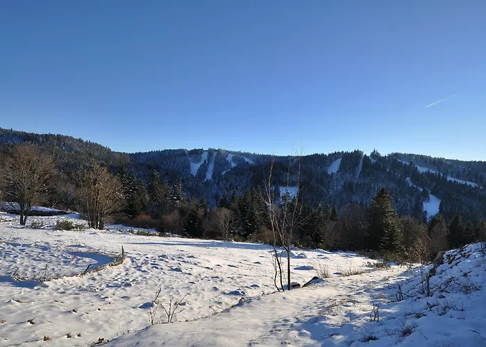 Dyna, Luxe, Calme Et Serenite