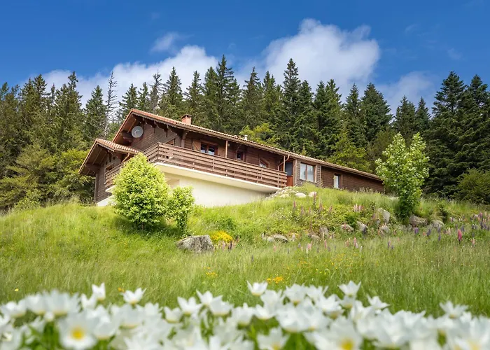 Dyna, Luxe, Calme Et Serenite * Gérardmer